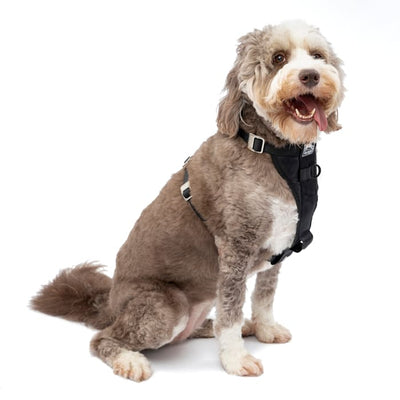 Kurgo Dog Tru Fit Smart Dog Harness Black Large