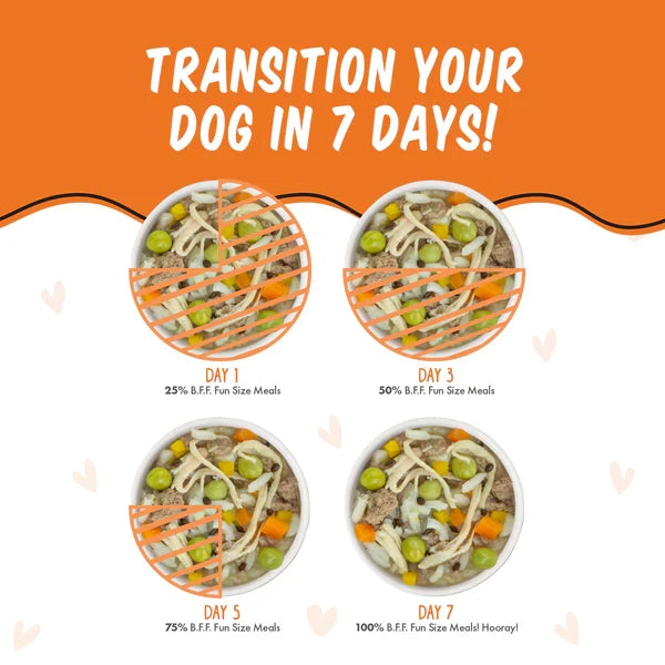 Bff Dog You My Munchkin Chicken Rice & Pumpkin Cup, 2.7 oz 12 ct