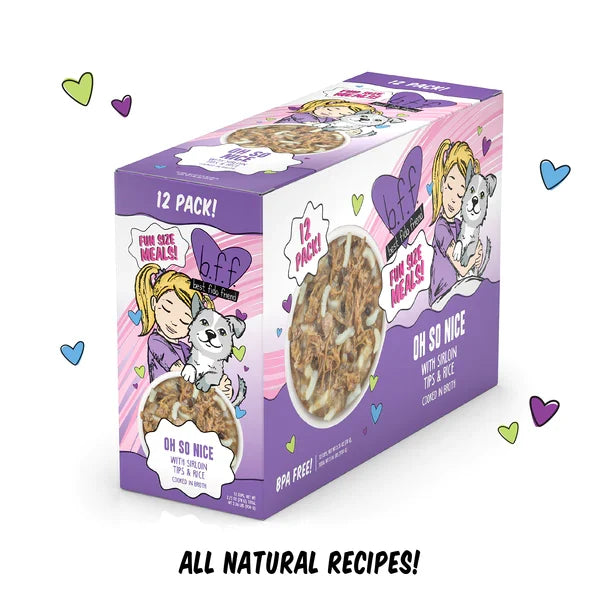 Bff Dog Oh So Nice Beef & Rice Cup 2.7 oz. 12 ct