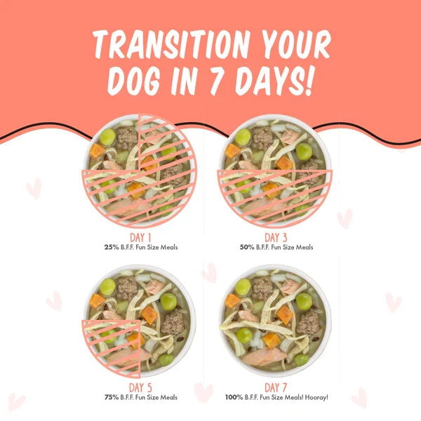 Bff Dog We Be Jammin' Chicken, Rice, Pumpkin & Salmon Cup, 2.7 oz 12 ct