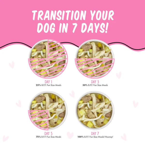 Bff Dog Wanna Be Withya Chicken Rice & Chicken Liver Cup 2.7 oz. 12 ct, view 4