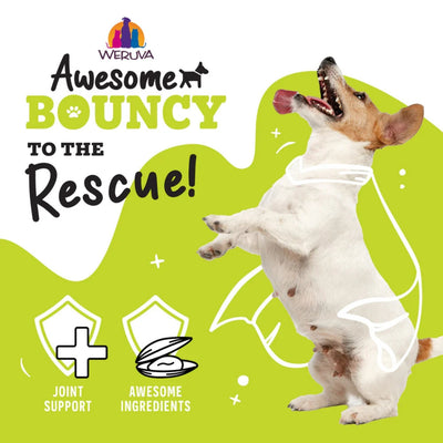 Weruva Dog Bouncy Chicken & Veggie 14oz. (Case of 10)