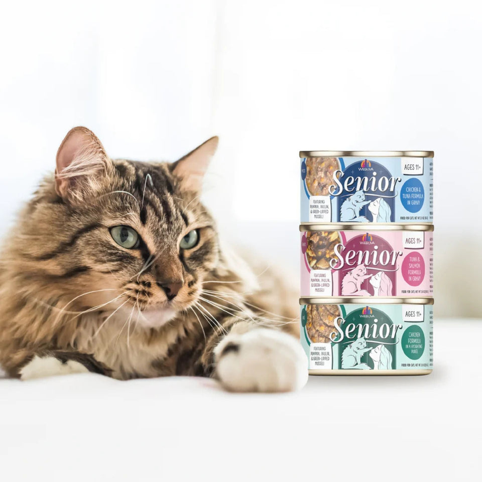 Weruva Cat Senior Chicken & Tuna Formula In Gravy 3oz. (Case of 12)