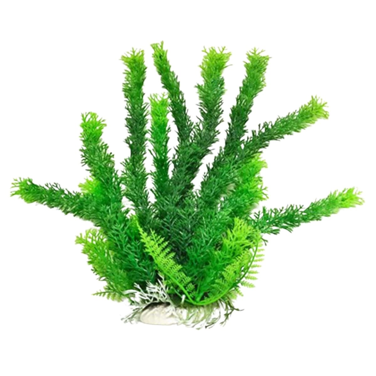 Aquatop Cabomba Aquarium Plant with Weighted Base Green 12 in - Pets Perfect