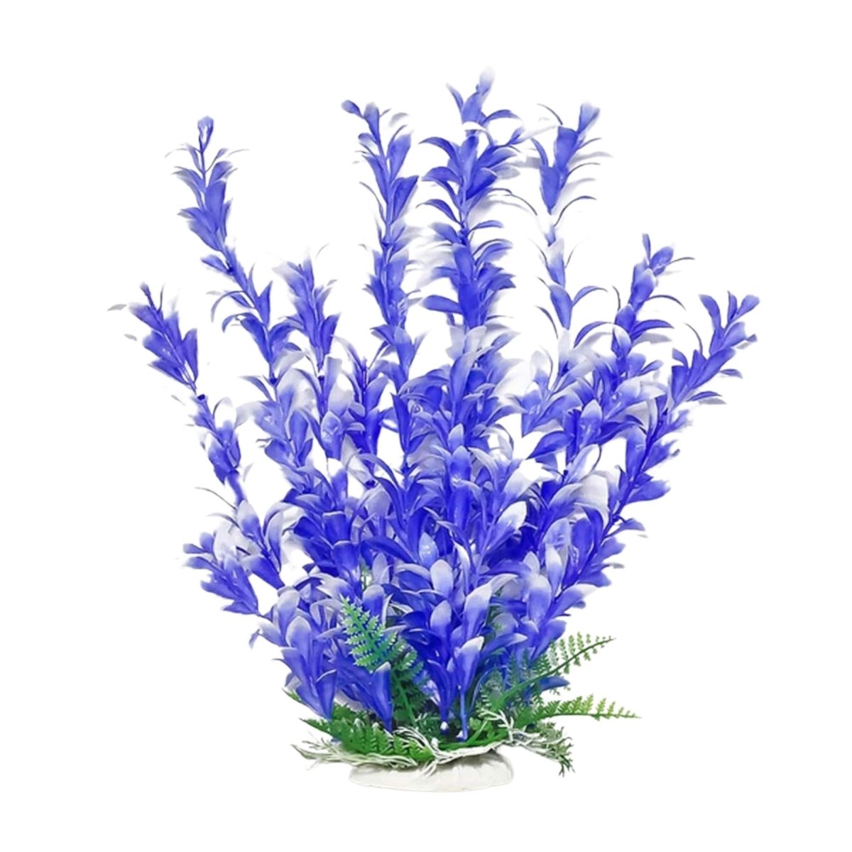 Aquatop Bacopa Aquarium Plant with Weighted Base Blue, White, 1ea/12 in - Pets Perfect