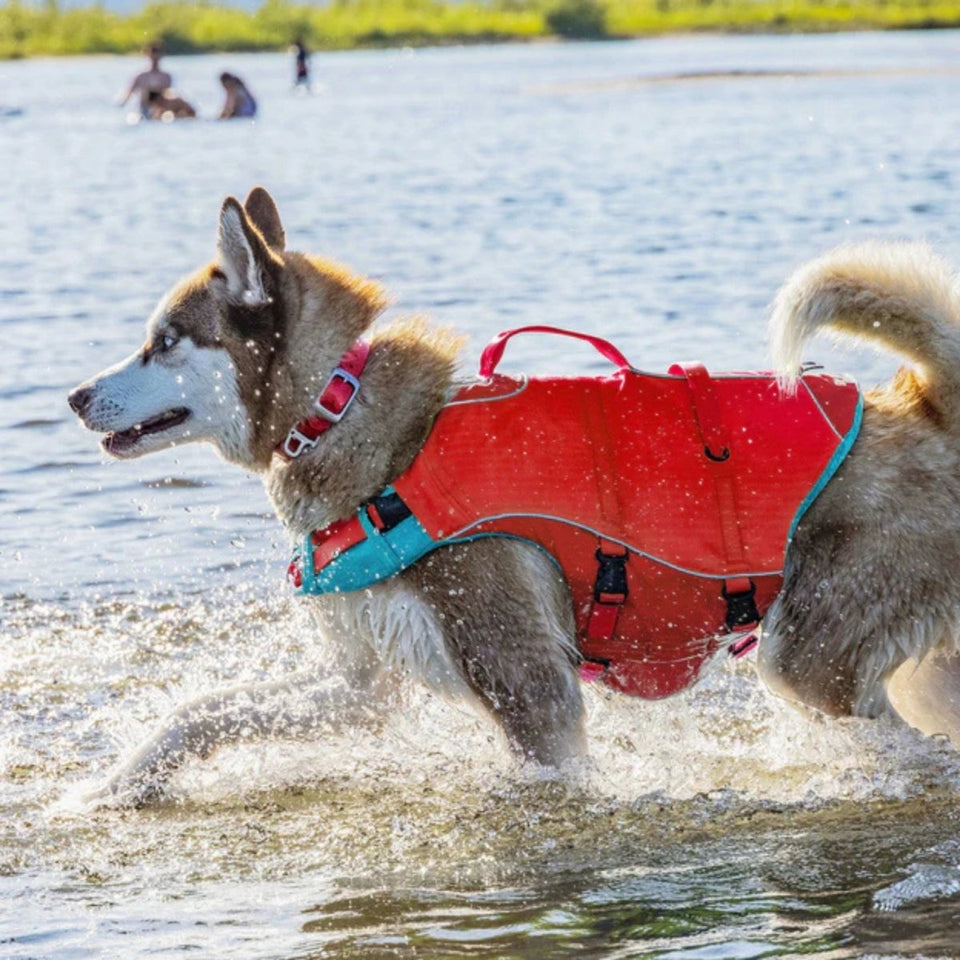 Kurgo Surf 'n Turf Dog Life Jacket - Red, Large, view 2