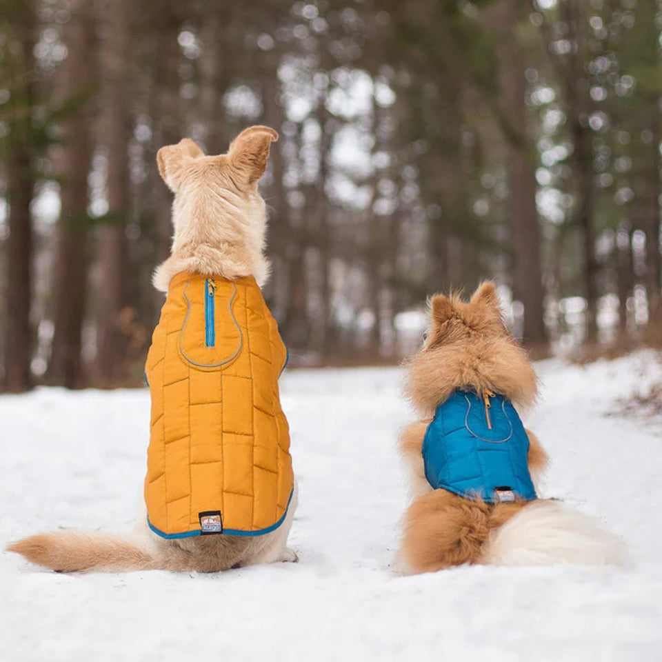 Kurgo Dog Jacket Loft Blue/Orange Medium