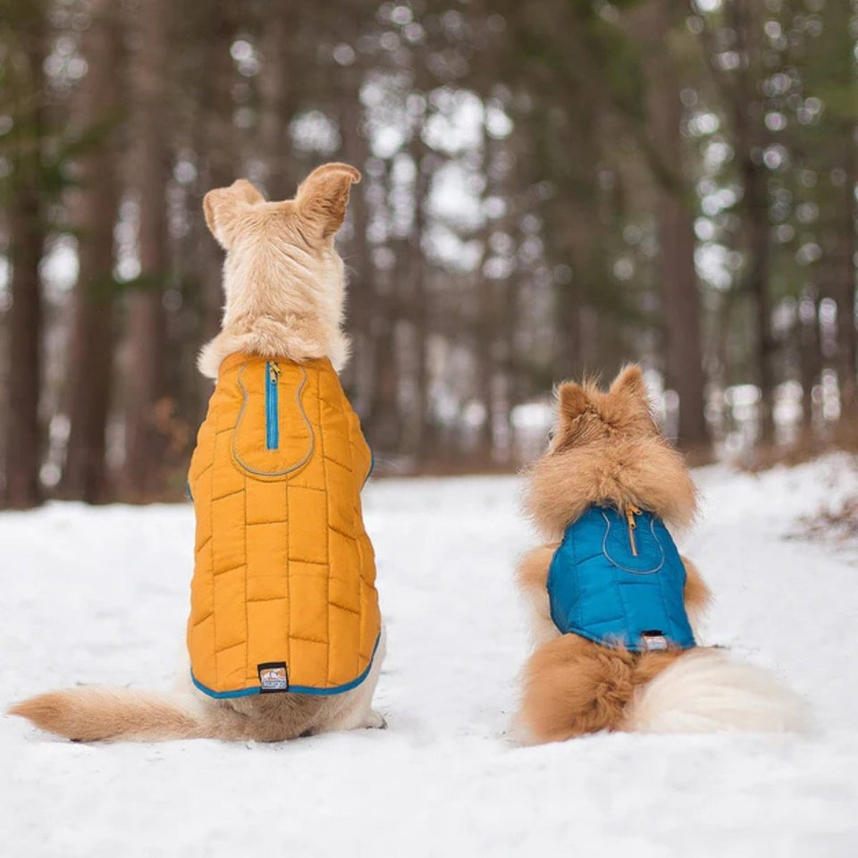 Kurgo Loft Dog Jacket, Reversible Insulated Dog Coat, Blue/Orange, view 4