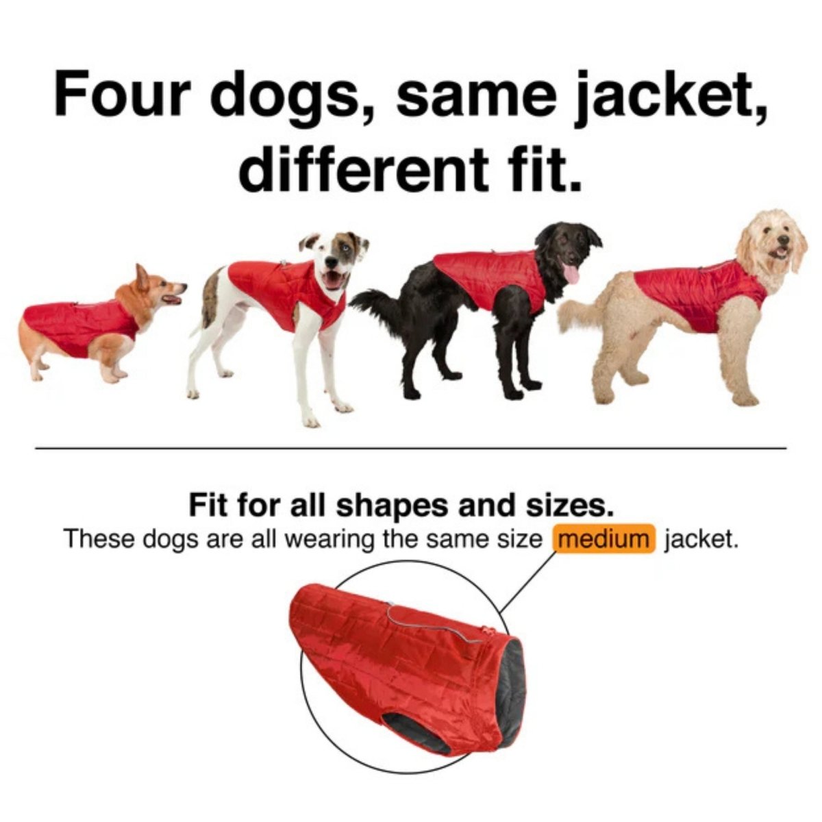 Kurgo Dog Loft Jacket Ink Blue Medium - Pets Perfect