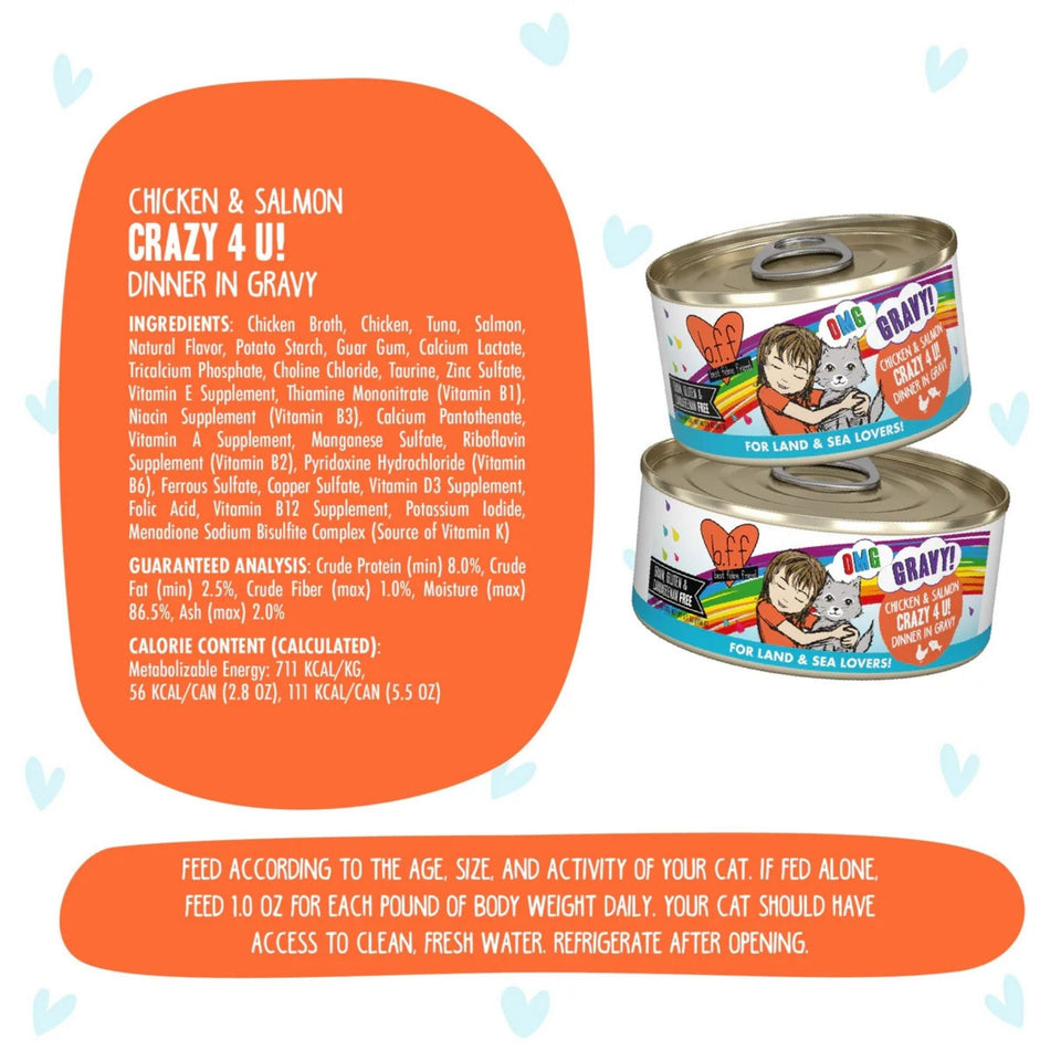 BFF Cat Omg Gravy Crazy 4 U Chicken & Salmon 2.8oz. - (Case of 12)