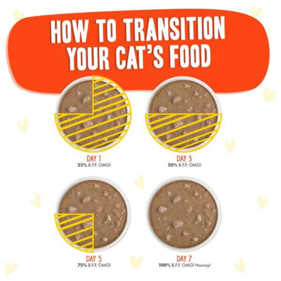 BFF Cat Omg Chicken and Salmon Stir It Up Dinner in Gravy 2.8 oz. 12 ct