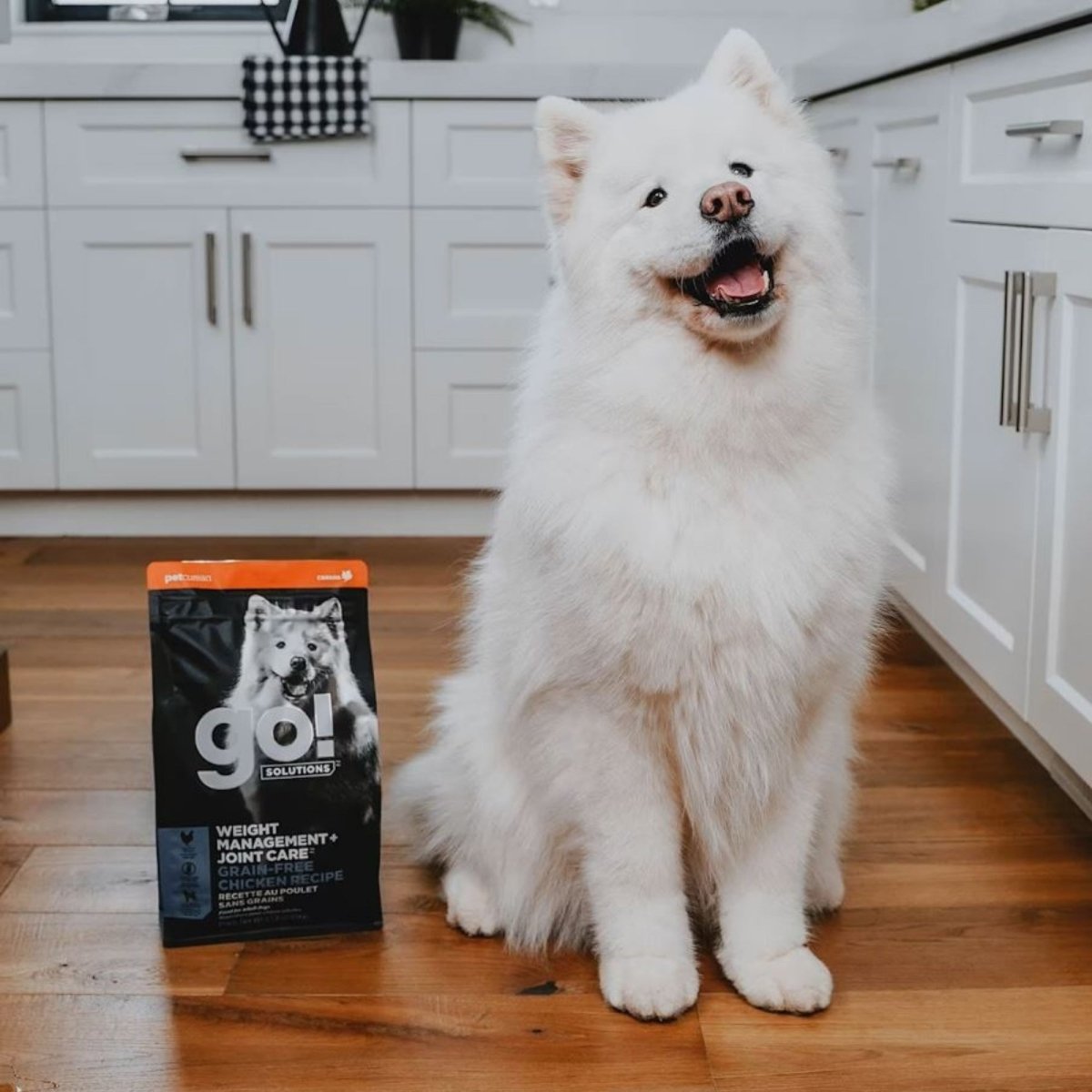 Go! Dog Weight Management & Joint Care Grain Free Chicken 22Lb - Pets Perfect