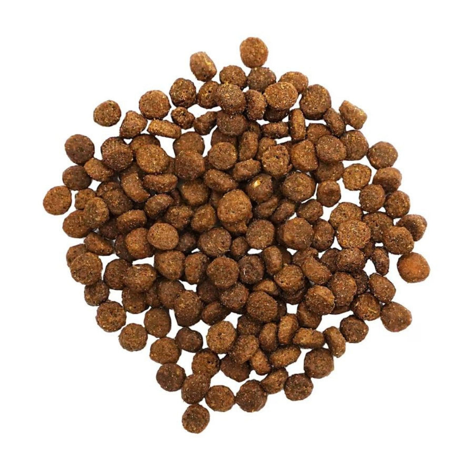 Go! Cat Digestion & Gut Health Salmon Ancient Grain 16Lb