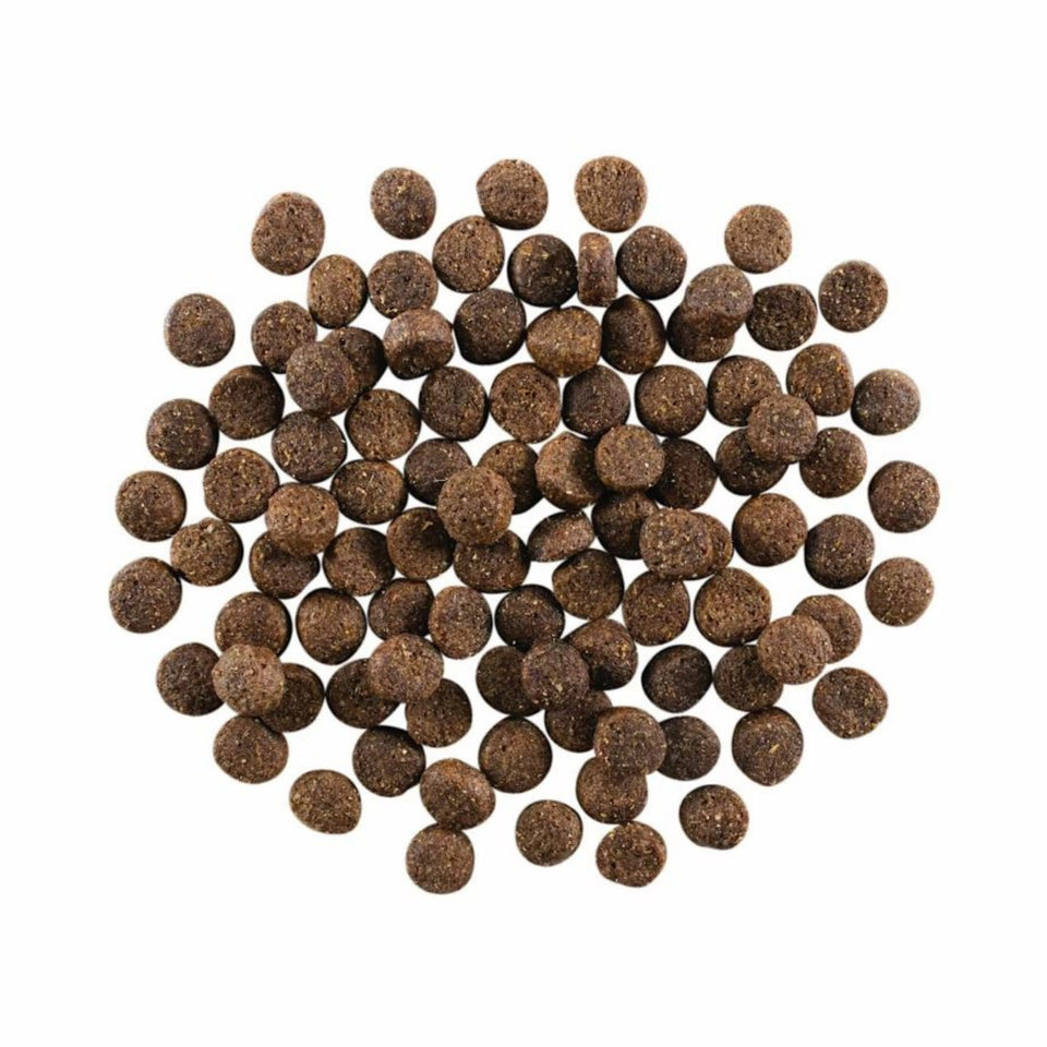Go! Dog Skin & Coat Care Lamb With Grain 3.5Lb