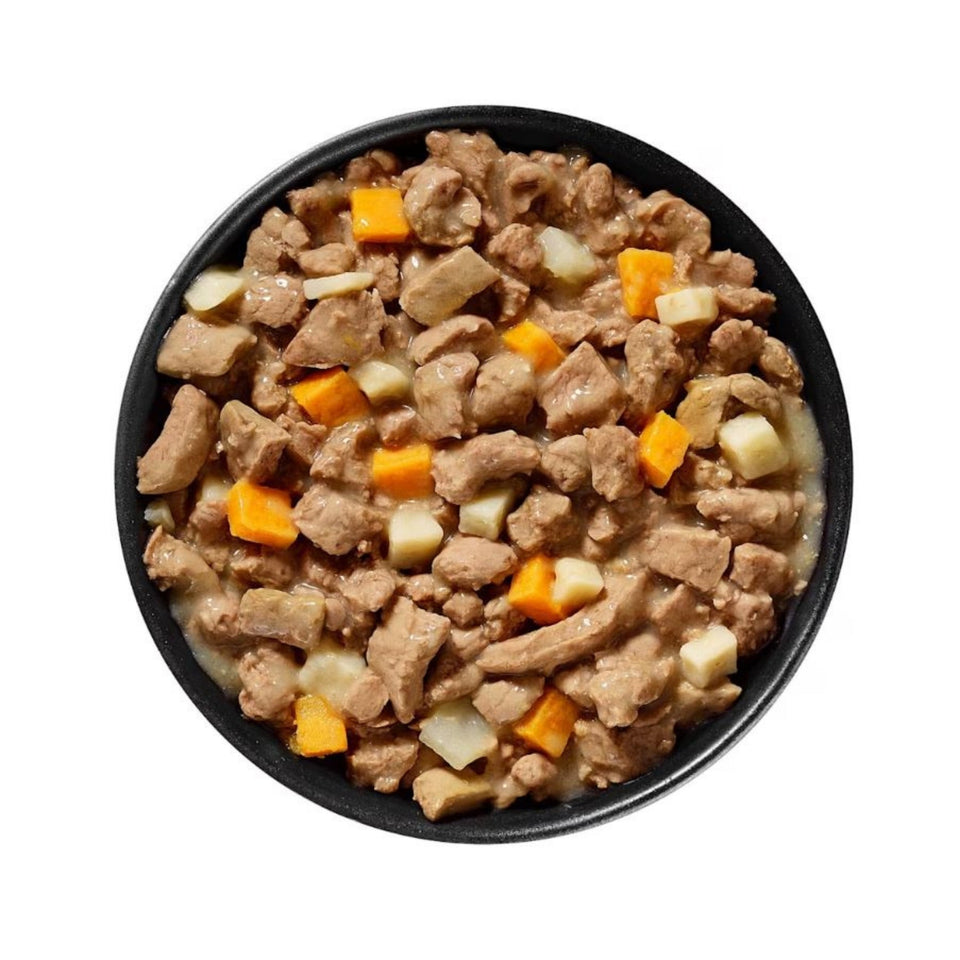 Go! Dog Carnivore Grain Free Shredded Lamb & Boar 12.5oz. (Case of 12)