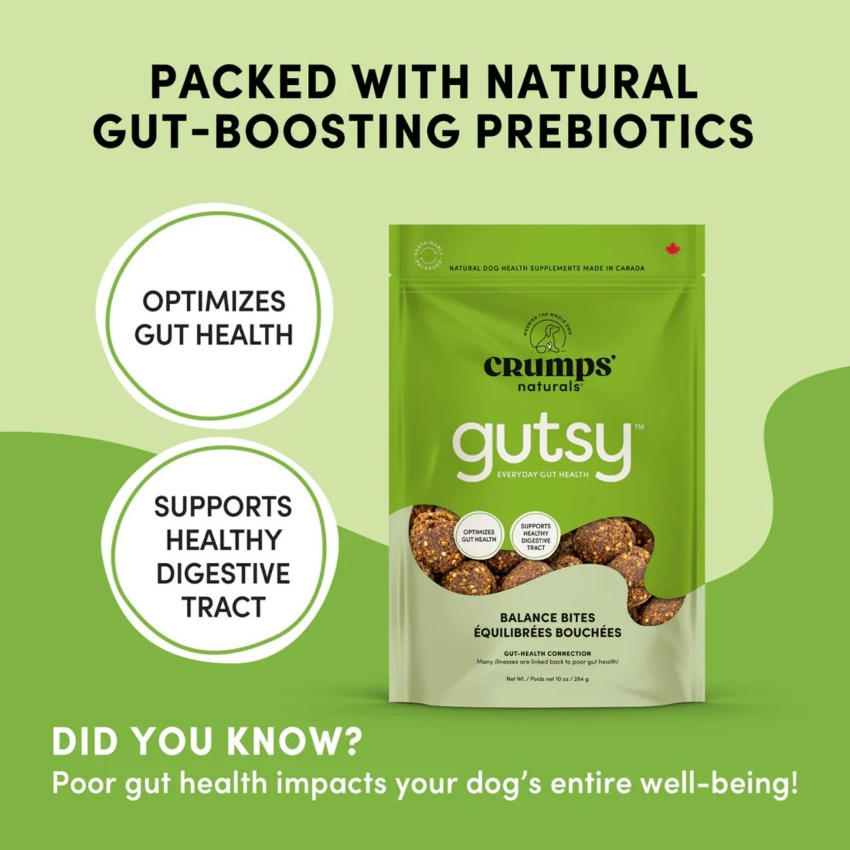Crumps Dog 4.6oz. Gutsy Balance Bites - Pets Perfect