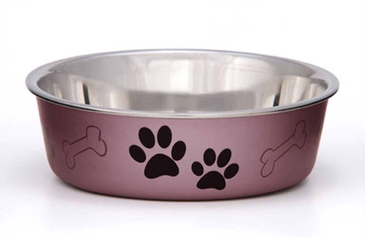 Loving Pets Metallic Dog Bowl Grape, 1ea/LG - Pets Perfect