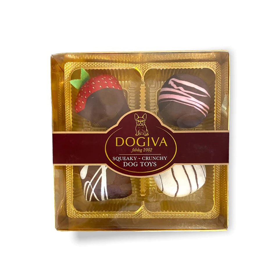 FabDog Dogiva Chocolates, 4-Count