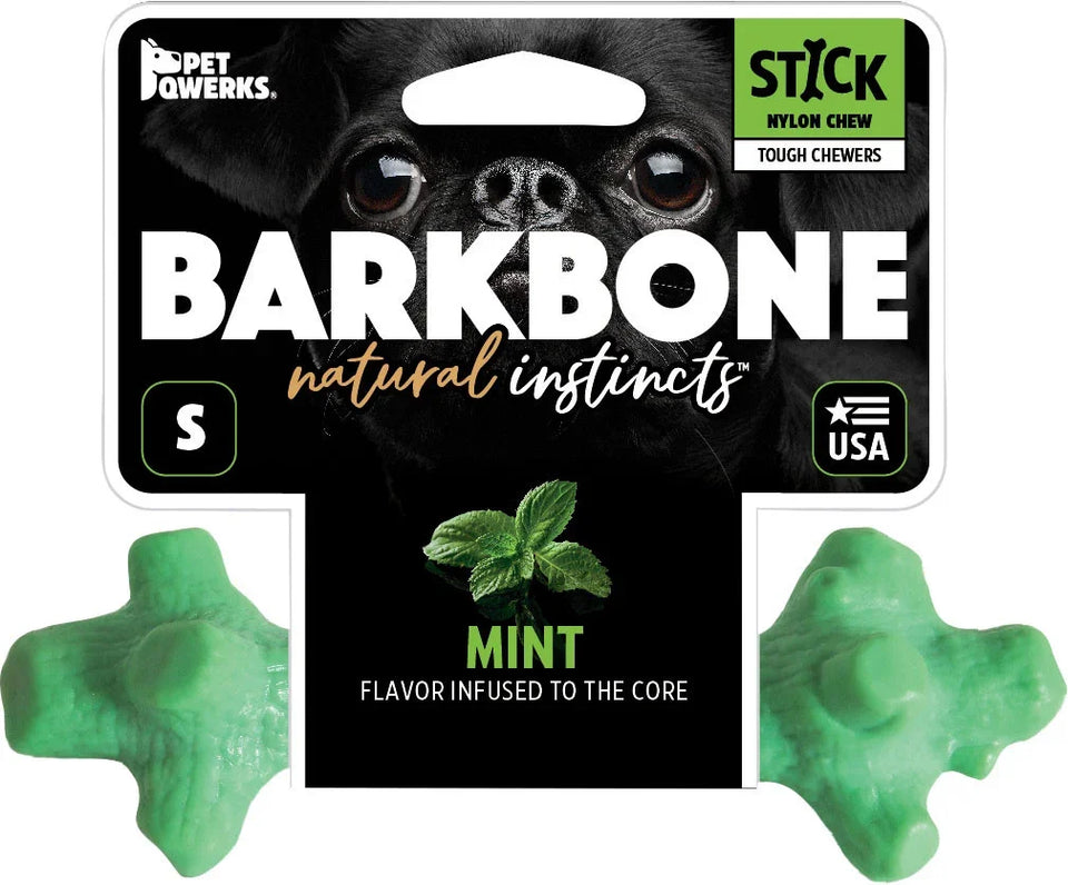 Pet Qwerks Dinosaur Barkbone Breath Stick Mint Small