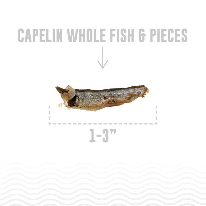Icelandic Dog Capelin Whole Fish Bulk 12 oz - 8 Per Box, view 5