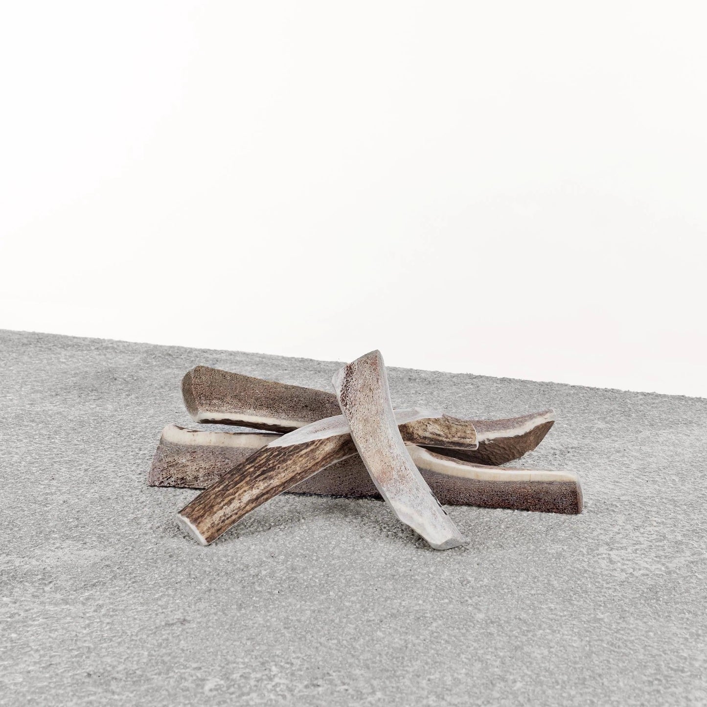 Primal Dog Stag Antler X-Large