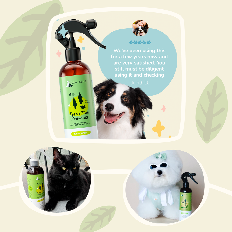 Kin+Kind Flea & Tick Lemongrass Protect Spray 12 oz