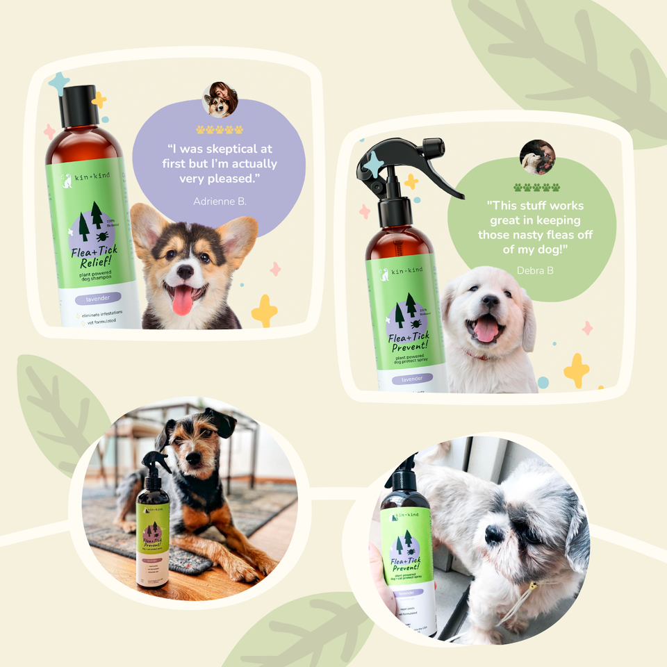 Kin+Kind Flea & Tick Lavender Pet Shampoo 12 oz