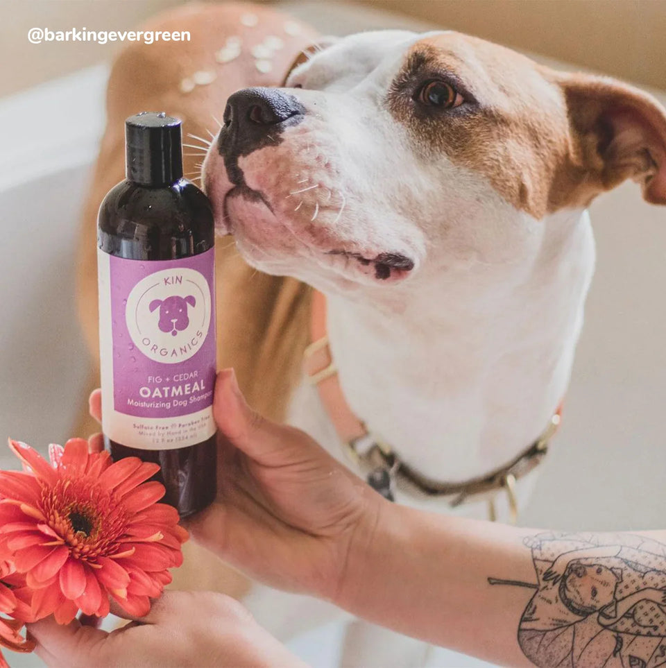 Kin+Kind Coat Oatmeal Fig+Cedar 12 oz. Pet Shampoo