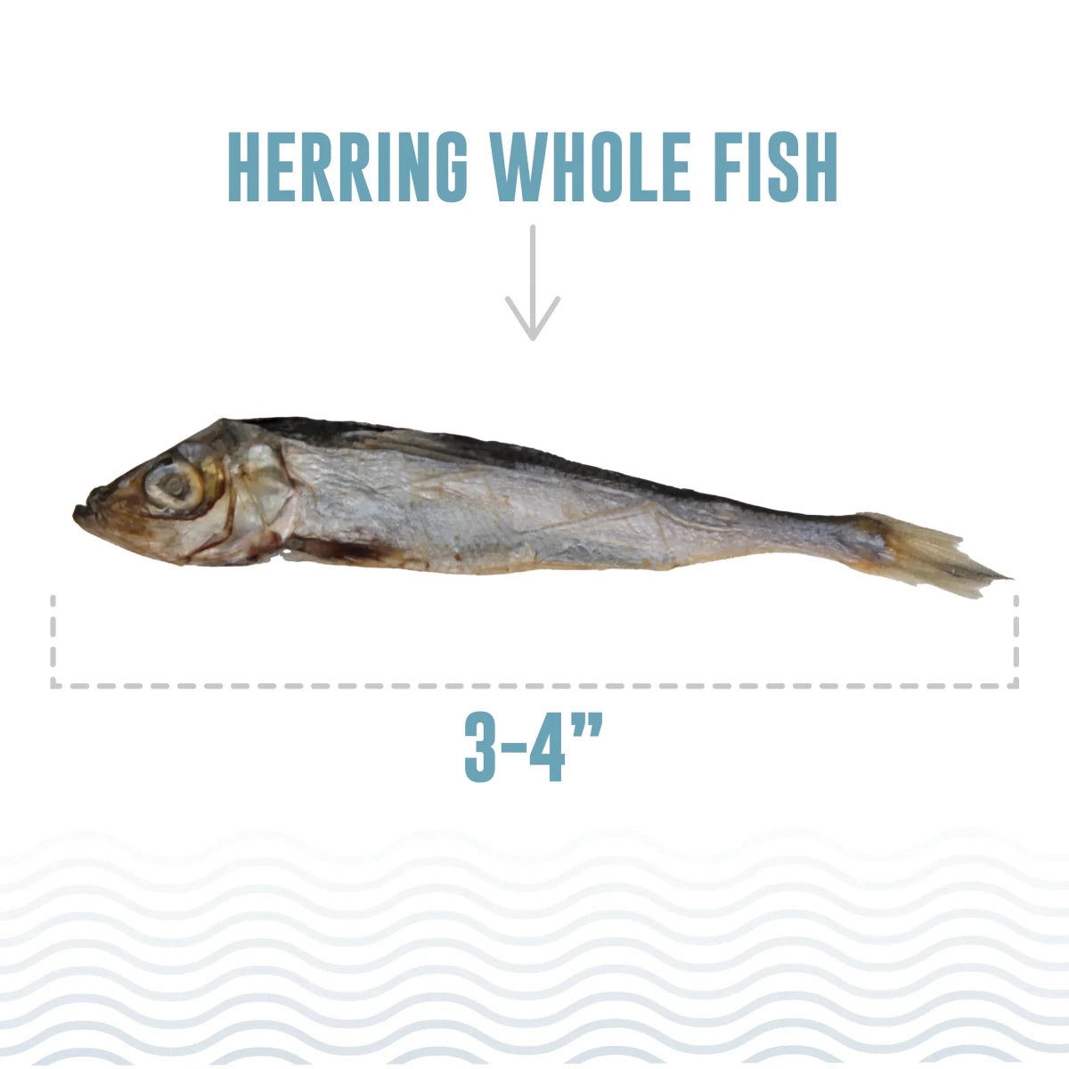 Icelandic Cat Herring Whole Fish 1.5oz. - Pets Perfect