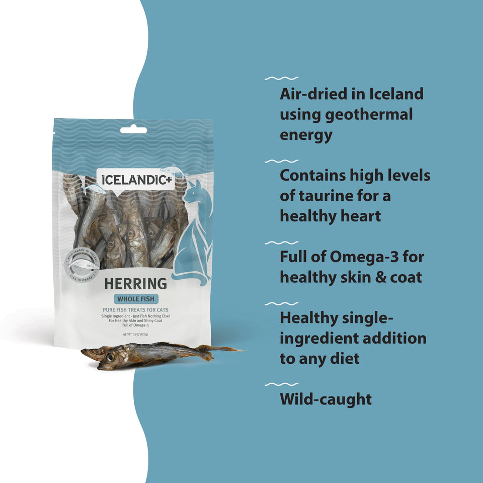 Icelandic Cat Herring Whole Fish 1.5 oz