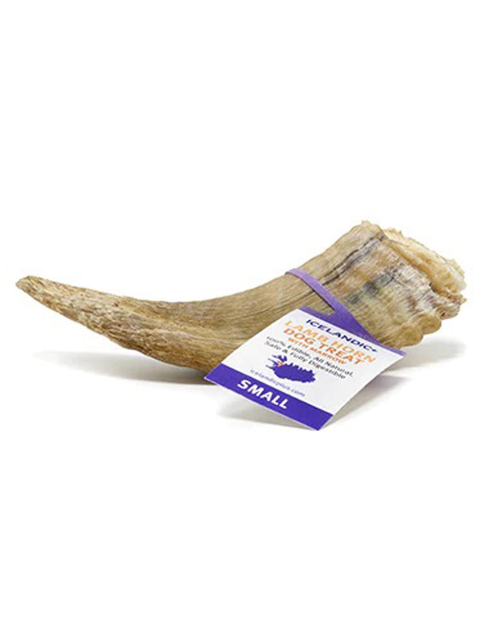 Icelandic+ Lamb Horn with Marrow - Small 4-4.7 in Natural Dog Chew, 72-Count
