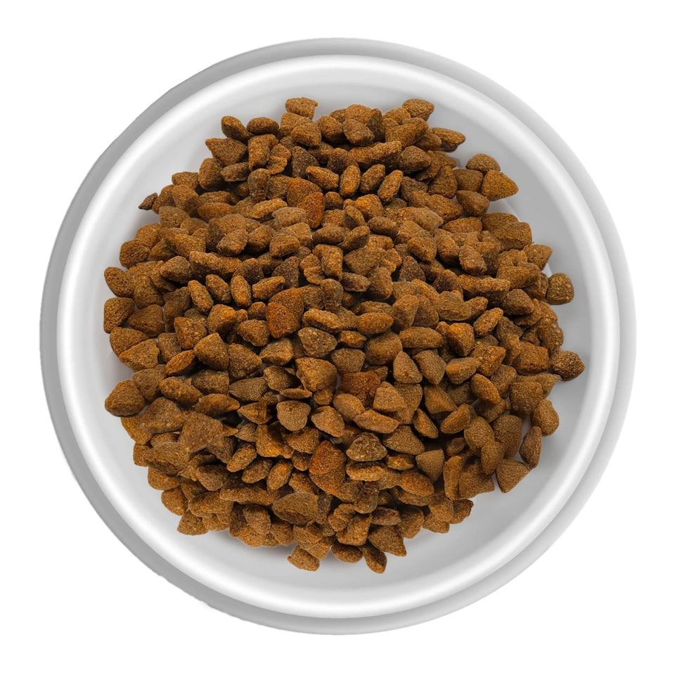 Rawz Dog Salmon Chicken Whitefish Meal Free 3.5Lb