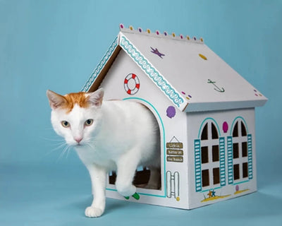 Breezy Beach Cottage Cardboard Cat Playhouse (5 ct) - Pets Perfect