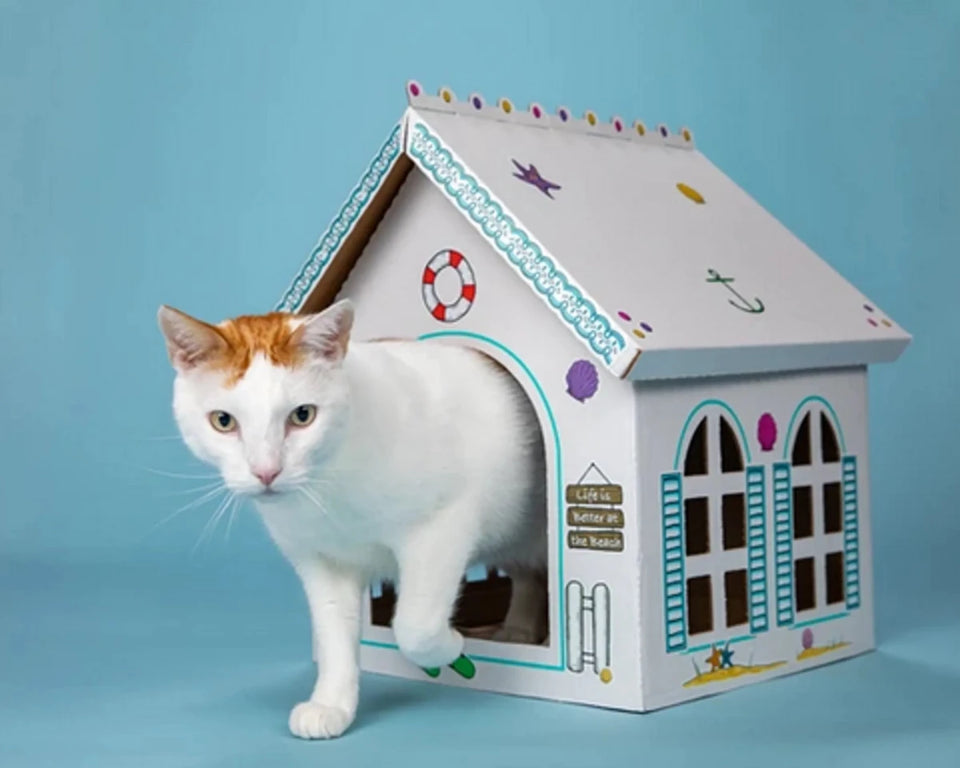 Breezy Beach Cottage Cardboard Cat Playhouse (5 ct) - Pets Perfect