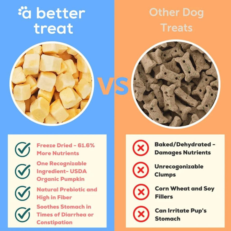 A Better Dog Treat Just One Thing FD Salmon Dog & Cat Dog Treats 3 oz, view 4