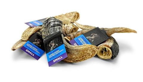 Icelandic Lamb Horn - Bulk 24-Count (Display Refill) (Sized Approx. 6.5-7In)