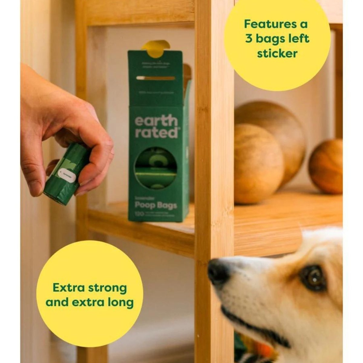Earth Rated Dog Poop Bag Dog Unscented 4 Roll 60 Count - Pets Perfect