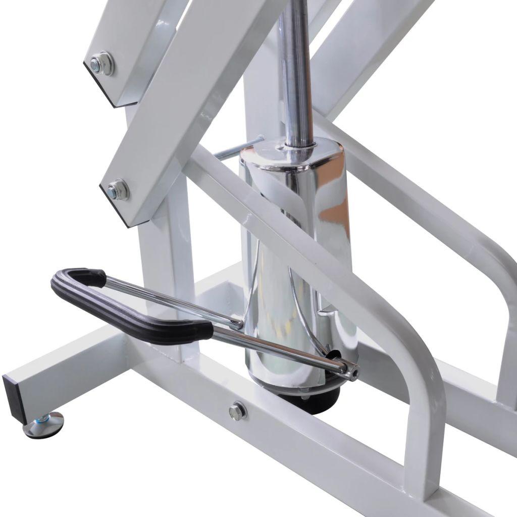 vidaXL Hydraulic Adjustable Pet Dog Grooming Table with 1 Noose