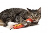 Petstages Green Magic Dynamite Catnip Cat Toy Red, view 2