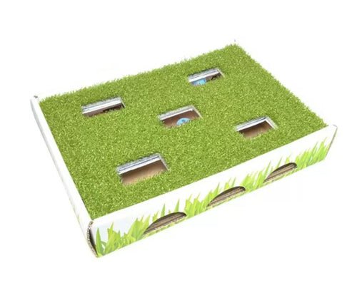 Petstages Grass Patch Hunting Box Cat Toy White, Green 1ea/One Size - Pets Perfect