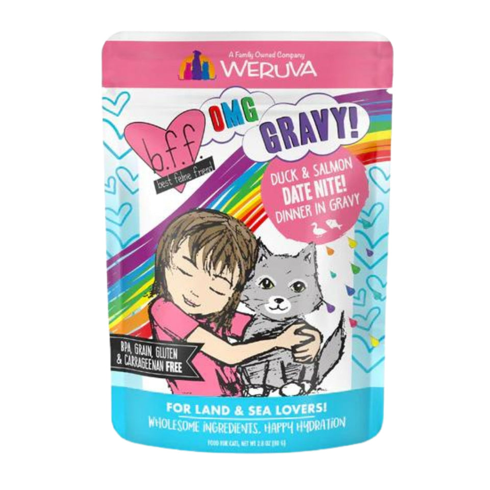Duck and Salmon Date Nite pouch front, girl hugging gray cat artwork