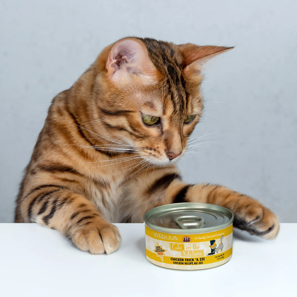 Cats in The Kitchen Chicken Frick A Zee 10 oz. Chicken Recipe 12 ct