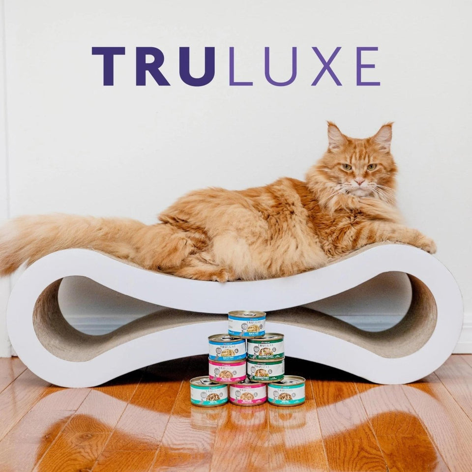 Weruva Truluxe Honor Roll Saba Mackerel Wet Cat Food, 3 oz, 24 ct, view 5