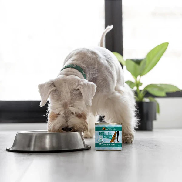 Dogs in The Kitchen Funk in Trunk With Chicken And Pumpkin Au Jus 10 oz. 12 ct
