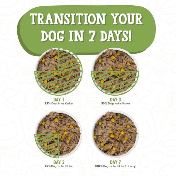 Dogs In The Kitchen Lamburgini Lamb and Wild - Caught Mackerel Au Jus Wet Dog Food 10oz - Pets Perfect