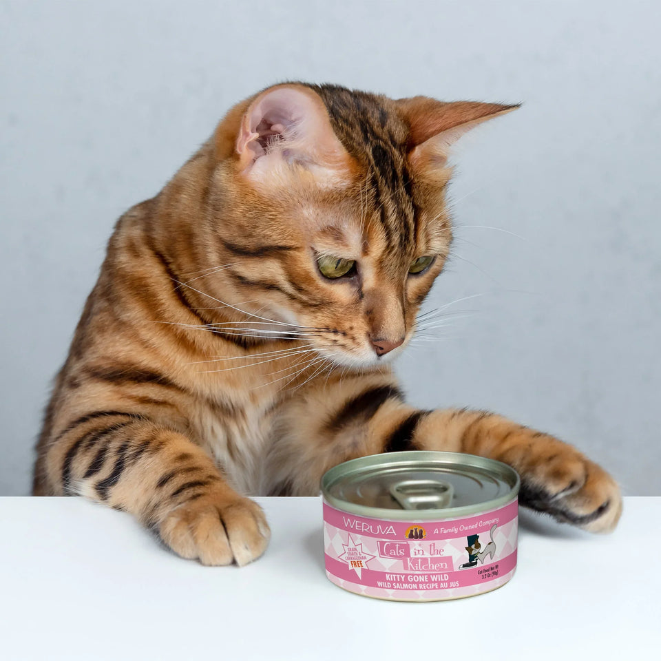 Cats in The Kitchen Kitty Gone Wild, Wild Salmon Recipe, 3.2 oz 24 ct