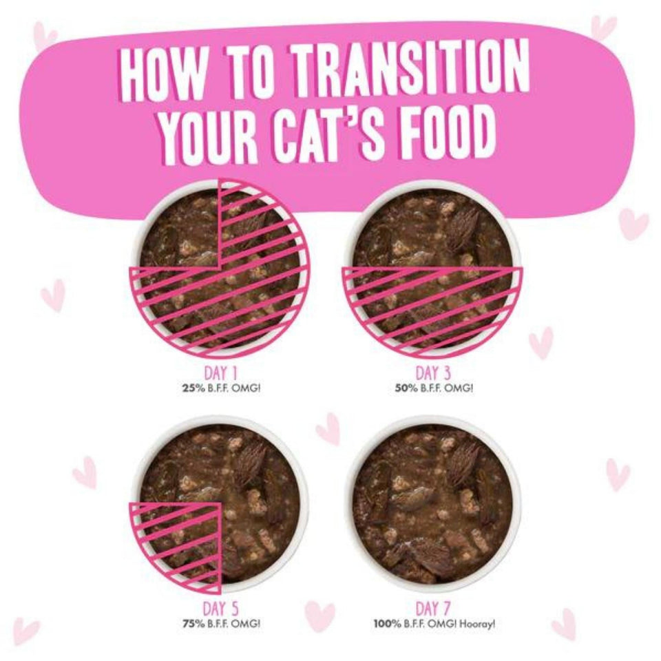 BFF Cat Omg Tuna & Duck Devour Me Dinner in Gravy 3 oz. 12 ct