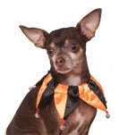 Rubies Orange/Black Jester Colla Large-X-Large - Pets Perfect