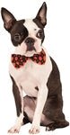 Rubies Halloween Argyle Bowtie Medium-Large - Pets Perfect