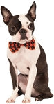 Rubies Halloween Argyle Bowtie Medium-Large